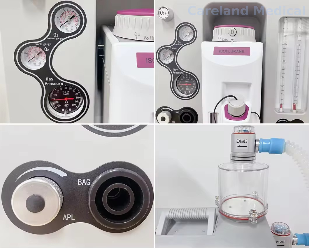 Veterinary Anesthesia Machine 